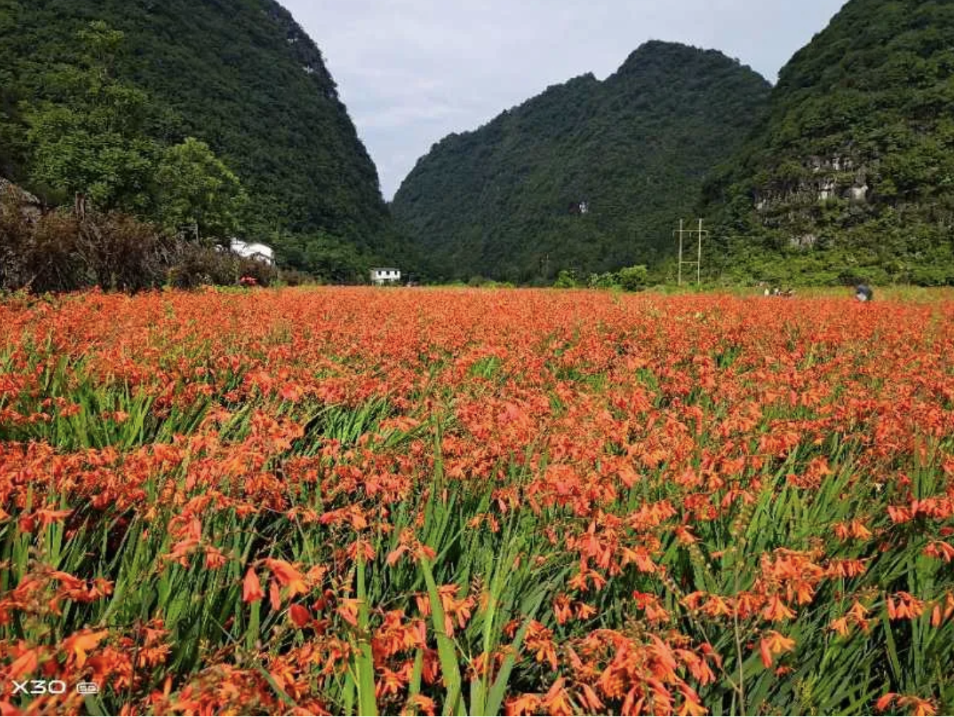 长顺百姓靠着好山好水“卖风景”，吃上“旅游饭”！